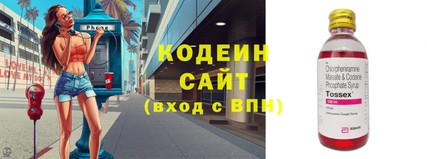 хмурый Дмитровск