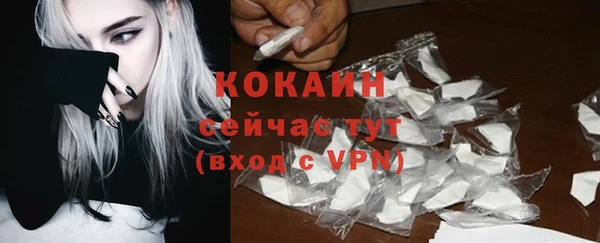 apvp Дмитриев