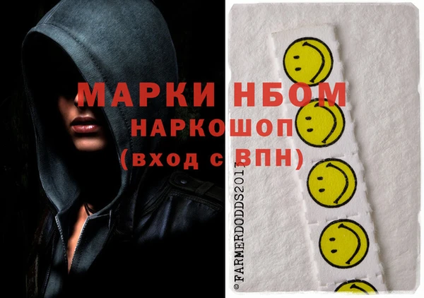 хмурый Дмитровск