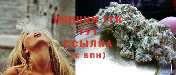 хмурый Дмитровск