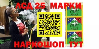 шишки Донской