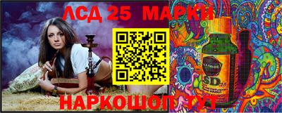 шишки Донской