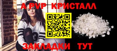 шишки Донской