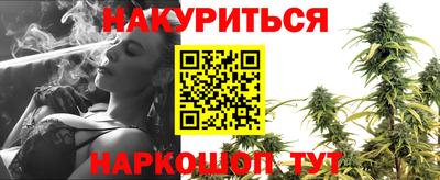 шишки Донской