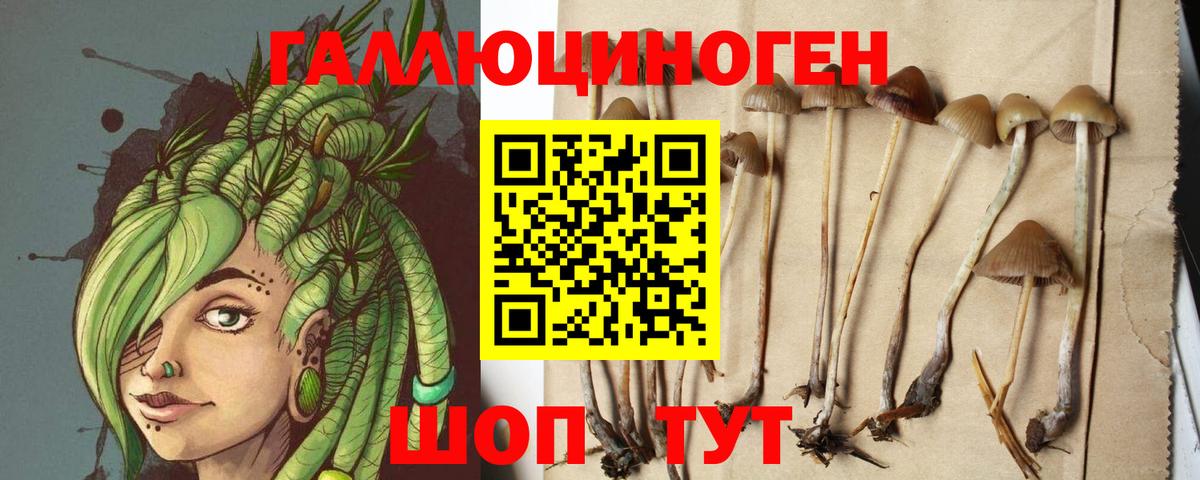 Галлюциногенные грибы Magic Shrooms  Вход с VPN  Галлюциногенные грибы Psilocybine cubensis  Рузаевка 