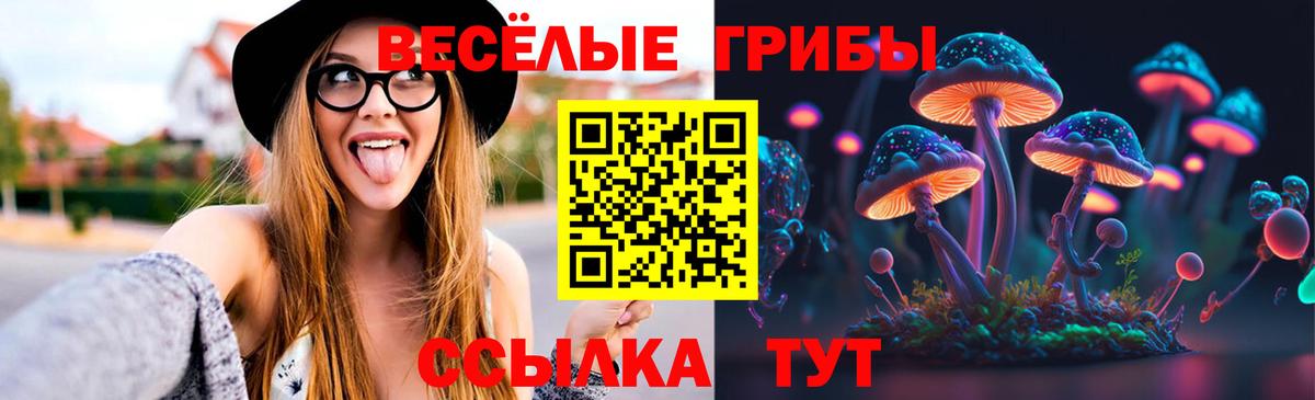 даркнет сайт  Псилоцибиновые грибы GOLDEN TEACHER  Рузаевка  Галлюциногенные грибы Psilocybe 